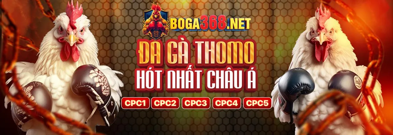Đá Gà Trực Tuyến 79sun Link Mới 2026